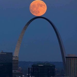 Meet your Posher, Cynthia